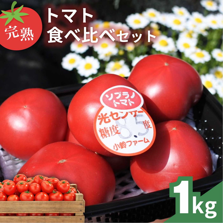 完熟トマト食べ比べセット1kg 約3種類のトマト 美味しさ選別 |とまと トマト 減農薬 野菜 やさい 人気 新鮮 産地直送 直売 フルーツトマト 甘い 高糖度 完熟 リコピン ビタミン ダイエット