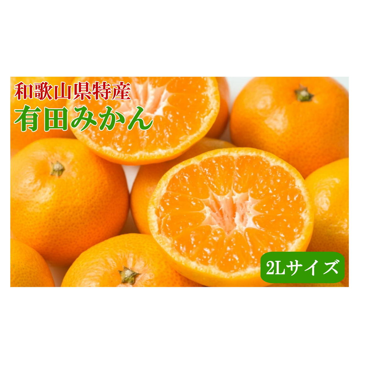 [Gi]a̎RLc݂6kgi2LTCYj 2025N11{`2026N1{ɏ\a̎Rl12000ʕEt[c݂Ek