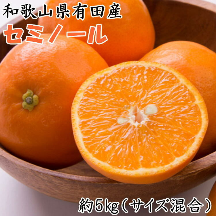 和歌山有田産セミノールオレンジ約5kg(サイズ混合) ※2025年4月中旬〜5月上旬頃に順次発送予定和歌山県美浜町13000果物・フルーツみかん・柑橘類