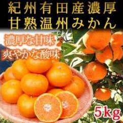 紀州有田産濃厚甘熟温州みかん5kg ※2025年11月下旬〜2026年1月下旬頃に順次発送予定和歌山県美浜町13000果物・フルーツみかん・柑橘類