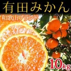 完熟有田みかん10kg ※2025年11月下旬〜2026年1月下旬頃に順次発送予定和歌山県美浜町16000果物・フルーツみかん・柑橘類