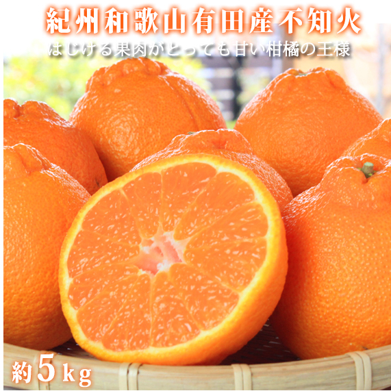 紀州有田産不知火(しらぬひ) 約5kg ※2026年2月中旬〜3月中旬頃に順次発送予定和歌山県美浜町15000果物・フルーツみかん・柑橘類