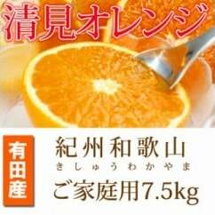 【ご家庭用訳アリ】紀州有田産清見オレンジ 7.5kg ※2026年3月下旬頃〜2026年4月中旬頃に順次発送予定和歌山県美浜町16000果物・フルーツみかん・柑橘類