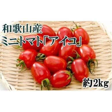 【2026年1月出荷分】和歌山産ミニトマト「アイコトマト」約2kg(S・Mサイズおまかせ)※北海道、沖縄、離島への配送不可 ※2026年1月中旬〜1月下旬頃に順次発送予定和歌山県美浜町12000野菜