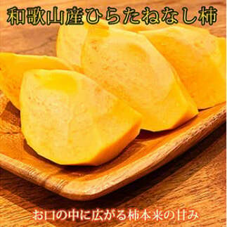 和歌山秋の味覚 平核無柿(ひらたねなしがき)約7.5kg ※2025年10月上旬〜10月末頃に順次発送予定和歌山県美浜町19000果物・フルーツその他 果物・フルーツ