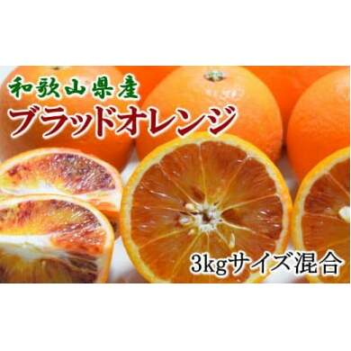 【希少・高級柑橘】国産濃厚ブラッドオレンジ「タロッコ種」約3kg ※2026年4月上旬〜4月下旬頃に順次発送予定和歌山県美浜町12000果物・フルーツみかん・柑橘類
