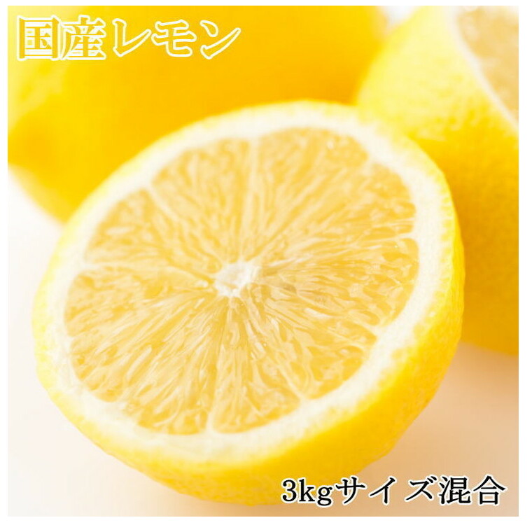 【産直】和歌山産レモン約3kg(サイズ混合) ※2026年3月中旬〜5月中旬頃に順次発送予定和歌山県美浜町12000果物・フルーツみかん・柑橘類