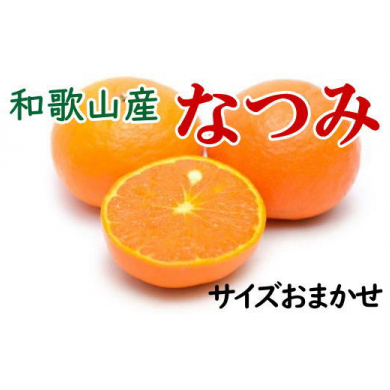 【希少柑橘】和歌山県産なつみ約5kg(S〜2Lサイズおまかせ) ※2026年4月上旬〜4月下旬頃に順次発送予定和歌山県美浜町12000果物・フルーツみかん・柑橘類