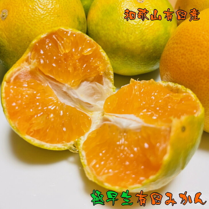 【先行予約】濃厚極早生有田みかん 10kg ※2024年10月中旬〜10月下旬頃に順次発送予定和歌山県美浜町13000果物・フルーツみかん・柑橘類