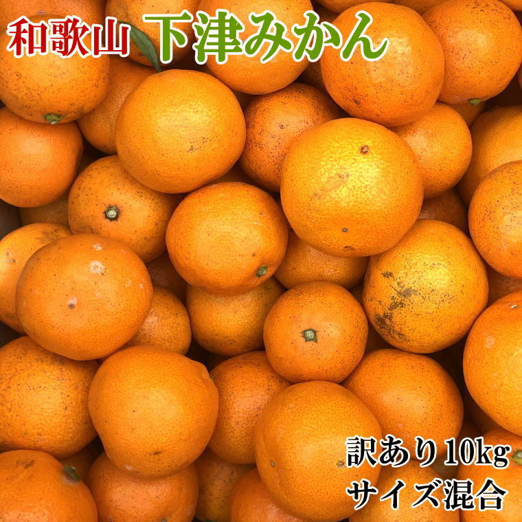 【訳あり】和歌山下津みかん10kgご家庭用向け(サイズ混合) ※2025年11月中旬〜2026年1月中旬頃に順次発送予定和歌山県美浜町14000果物・フルーツみかん・柑橘類