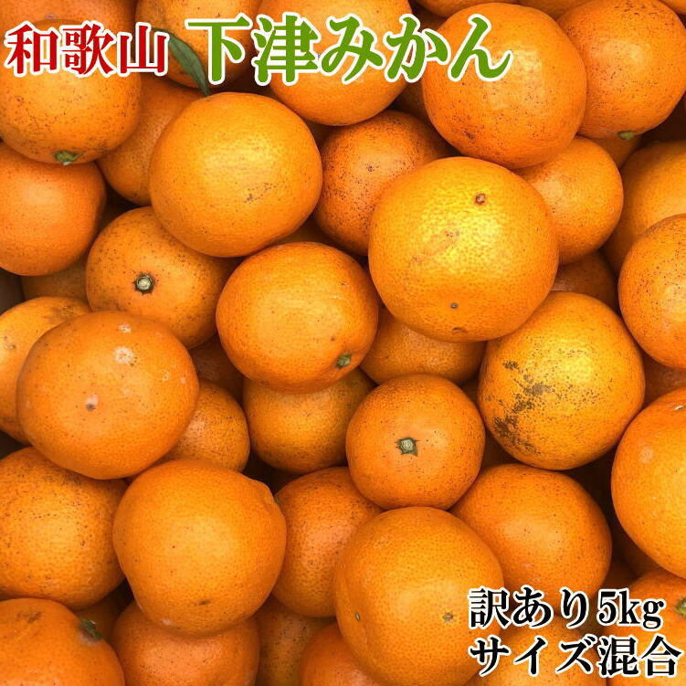 【訳あり】和歌山下津みかん5kgご家庭用向け(サイズ混合) ※2025年11月中旬〜2026年1月中旬頃に順次発送予定和歌山県美浜町11000果物・フルーツみかん・柑橘類
