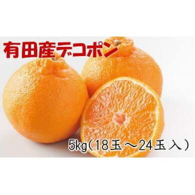 【お味濃厚】紀州有田産のデコポン約5kg(18玉〜24玉入り・青秀以上) ※2026年2月中旬〜3月中旬頃に順次発送予定和歌山県美浜町19000果物・フルーツみかん・柑橘類