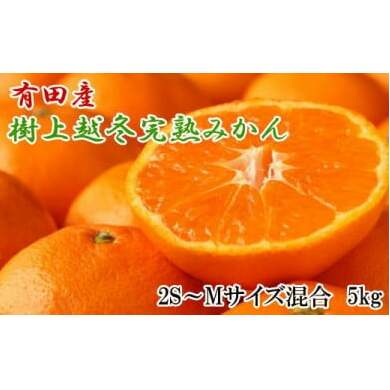 yZE܂₩zLcYz~n݂5kgi2S`MTCYj ӂ邳Ɣ[ ~J 2025N1{`2{ɏ\聦wsւ̔zsa̎Rl17000