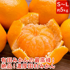 【和歌山特産品】【プレミアムブランド】絶品!田村みかん 約5kg ※北海道・沖縄地域へのお届け不可 ※2021年11月下旬〜12月下旬頃に順次発送予定和歌山県美浜町16000果物・フルーツみかん