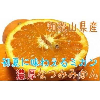 【先行予約】【初夏の美味】【みかん名産地和歌山有田】濃厚なつみみかん(ご家庭用) 約1kg ※2024年4月中旬〜5月中旬頃に順次発送予定 ※北海道・沖縄・離島への配送不可和歌山県美浜町5000