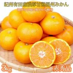 赤秀品 紀州有田産濃厚完熟温州みかん 3kg(MサイズまたはSサイズ) ※2025年11月下旬〜2026年1月下旬頃に順次発送予定和歌山県美浜町12000果物・フルーツみかん・柑橘類
