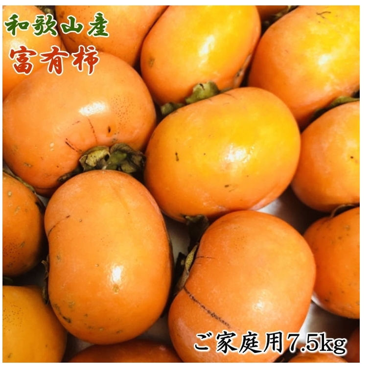 和歌山産富有柿ご家庭用約7.5kg ※2025年11月上旬〜12月上旬頃に順次発送予定 ※離島への配送不可和歌山県美浜町15000果物・フルーツその他 果物・フルーツ