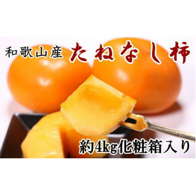 【厳選・産直】和歌山産のたねなし柿2L〜4Lサイズ約4kg(化粧箱入り) ※2025年10月上旬〜11月上旬頃に順次発送予定 ※離島への配送不可和歌山県美浜町15000果物・フルーツその他 果物・フル