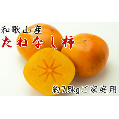 【秋の味覚】和歌山産のたねなし柿ご家庭用約7.5kg◇ ※2025年9月中旬〜11月上旬頃に順次発送予定 ※離島への配送不可和歌山県美浜町15000果物・フルーツその他 果物・フルーツ