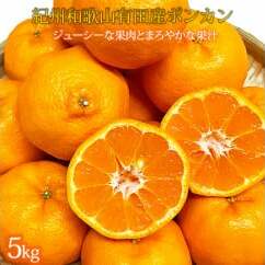 紀州和歌山有田産ポンカン 5kg ※2026年2月上旬〜2月下旬頃に順次発送予定和歌山県美浜町16000果物・フルーツみかん・柑橘類