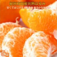 ʓՂՂ!n͂ 5kg 2026N2{`2{ɏ\a̎Rl16000ʕEt[c݂Ek