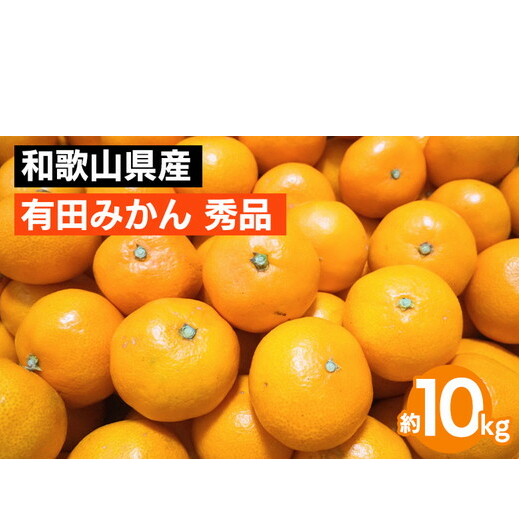 和歌山県産 有田みかん 約10kg 秀品 ※2025年10月中旬〜2026年1月下旬頃に順次発送予定 ※北海道・沖縄・離島への配送不可和歌山県美浜町15000果物・フルーツみかん・柑橘類