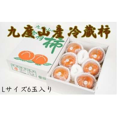 【まごころ栽培】九度山の冷蔵富有柿Lサイズ6玉入り ※2026年1月下旬〜2月中旬頃に順次発送予定 ※離島への発送不可和歌山県美浜町13000果物・フルーツ
