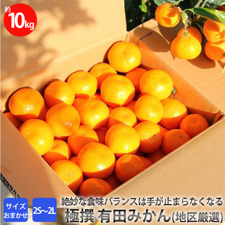 極撰 有田みかん(地区厳選)10キロ サイズおまかせ(2S〜2L) ≪みかん 蜜柑 果実 青果 国産 贈答 ギフト 有田産≫ ※2021年11月下旬頃〜2022年1月下旬頃より順次発送予定和歌山県美浜町18
