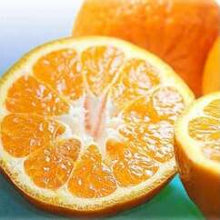 蜂久農園の美味しいはるみ 赤秀(約4キロ)サイズおまかせ ※2022年2月上旬頃〜2022年3月上旬頃より順次発送予定和歌山県美浜町13000果物・フルーツみかん・柑橘類