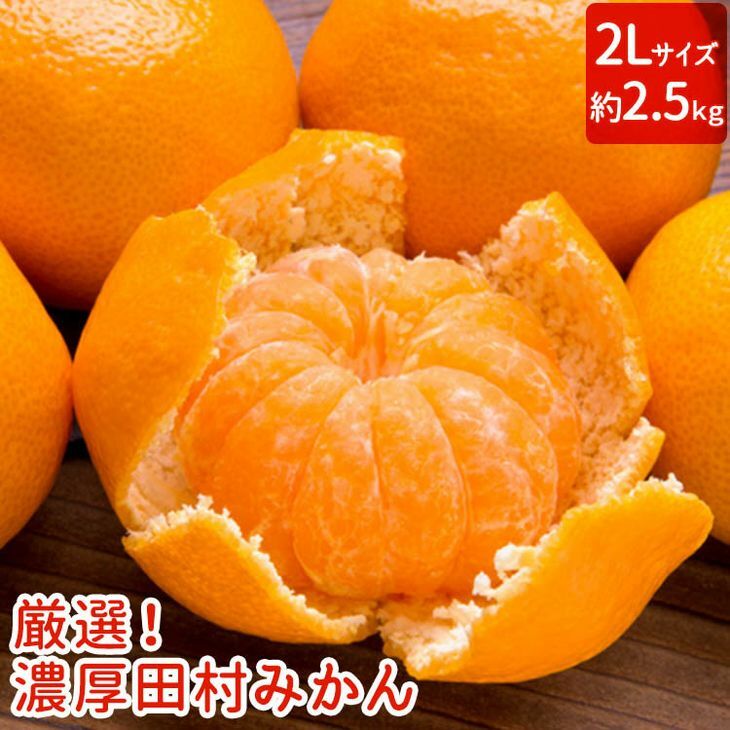【和歌山特産品】【プレミアムブランド】絶品!田村みかん〔2Lサイズ・秀品〕約2.5kg ※北海道・沖縄地域へのお届け不可 ※2021年11月下旬〜12月下旬頃に順次発送予定和歌山県美浜町1100