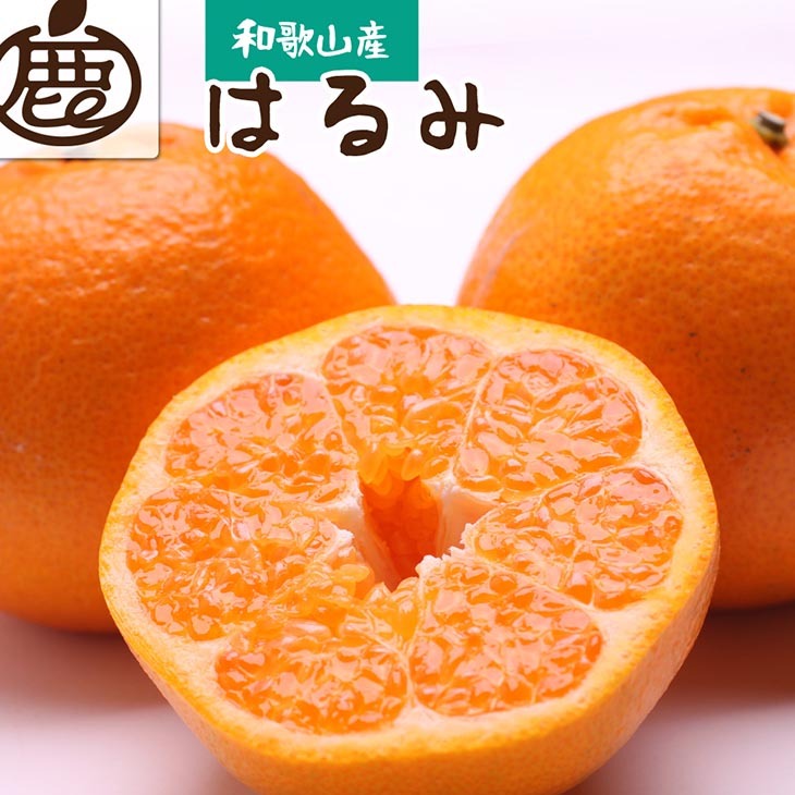 <2月より発送>厳選はるみ7.5kg+250g(傷み補償分)◇|デコポンの姉妹品種・新食感春みかん【光センサー選別】 ※北海道・沖縄・離島への配送不可 ※2026年2月上旬〜3月下旬頃に順次発送