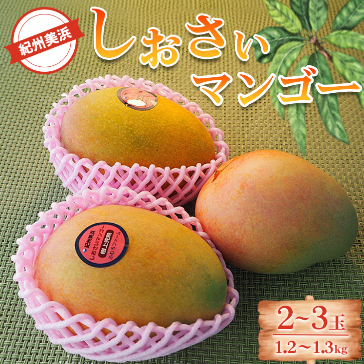 IBl}S[2`3ʁi1.2`1.3kgj ւ̔zs 2025N7{`9{ɏ\a̎Rl21000ʕEt[c}S[EpCibv