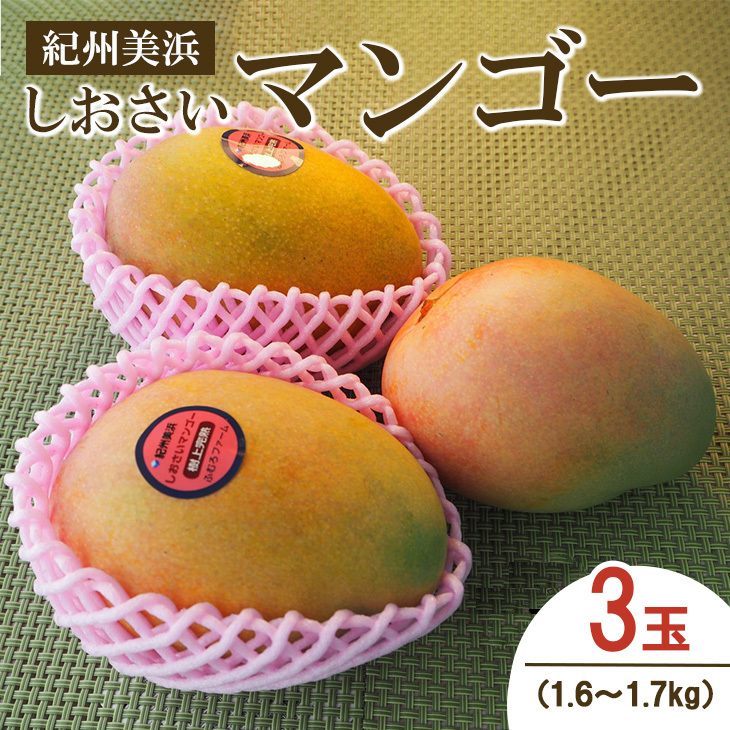 IBl}S[3ʁi1.6`1.7kgj ws ւ̔zs 2023N7{`8{ɏ\a̎Rl26000ʕEt[c}S[EpCibv