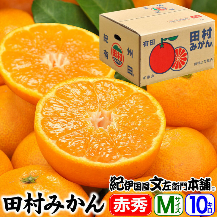 c݂/IMtgi10kgyMTCYzԏGb󒬓cnY Yn ō Iɍq{ 2025N11{`2026N1{ɏ\a̎Rl32000ʕEt[c