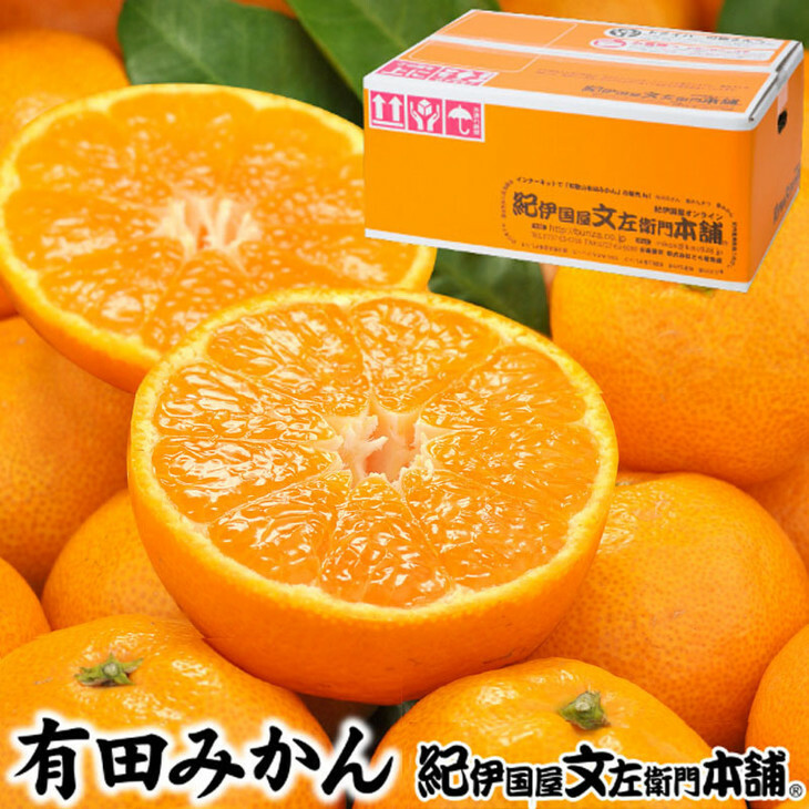 ブランド有田みかん【S】秀品10kg | 産地直送 薄皮 甘い 美味しい 和歌山県産/紀伊国屋文左衛門本舗 ※2025年11月上旬〜2026年1月中旬頃に順次発送予定和歌山県美浜町23000果物・フルーツみか