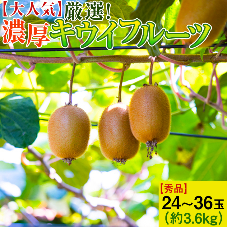 【大人気】厳選! 濃厚キウイフルーツ【秀品】24〜36玉(約3.6kg) | くだもの 果物 フルーツ 産地直送 ※2025年1月中旬〜3月上旬頃より順次発送予定和歌山県美浜町15000果物・フルーツ