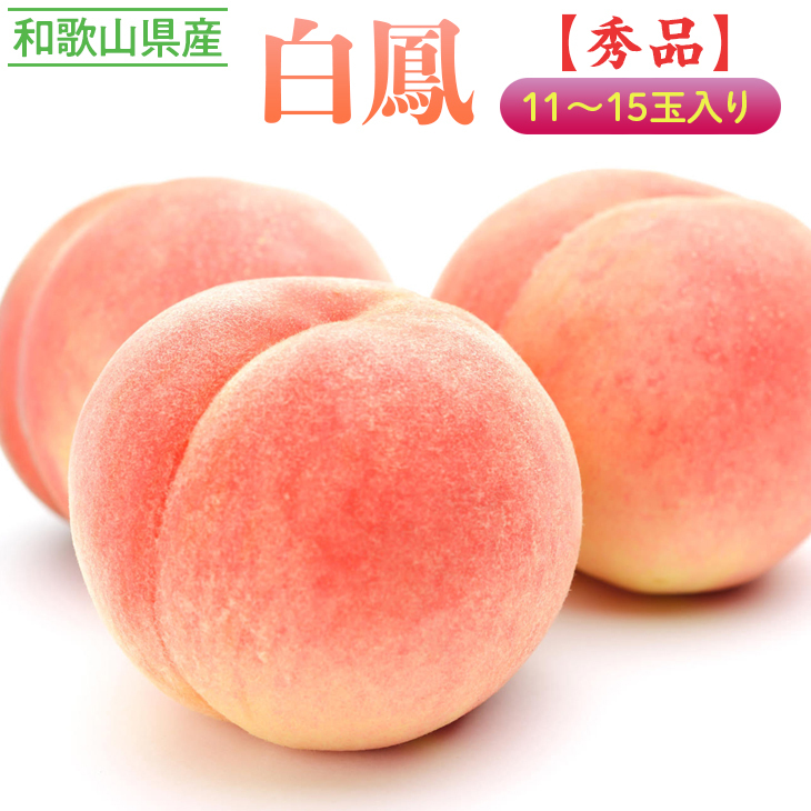 ≪秀品≫和歌山県産 白鳳 11〜15玉入り◇ |産地直送 桃 果物 フルーツ もも ※離島への配送不可 ※2024年6月下旬〜7月中旬頃に順次発送予定和歌山県美浜町24000果物・フルーツもも・すもも