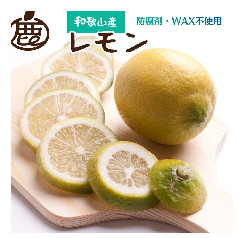 <9月より発送>厳選 黒潮レモン2.5kg+75g(傷み補償分)【和歌山有田産】【防腐剤・WAX不使用、安心の国産レモン】 ※北海道・沖縄・離島への配送不可 ※2024年9月上旬〜2025年7月下旬頃に