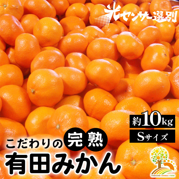 \光センサー選別/完熟有田みかんSサイズ 約10kg 有機質肥料100% ※2024年11月中旬頃より順次発送予定 ※沖縄・離島への配送不可和歌山県美浜町13000果物・フルーツみかん・柑橘類