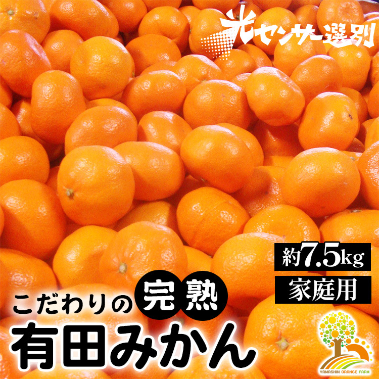 \光センサー選別/こだわりの有田みかん 約7.5kg 【ご家庭用】 有機質肥料100% ※2024年11月中旬頃〜2025年1月頃に順次発送予定 ※沖縄・離島への配送不可和歌山県美浜町11000果物・フルーツみ