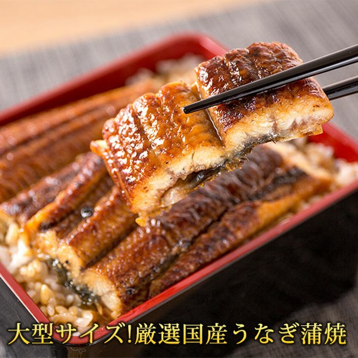 大型サイズ ふっくら柔らか国産うなぎ蒲焼き 2尾◇和歌山県美浜町20000魚介・海産物うなぎ