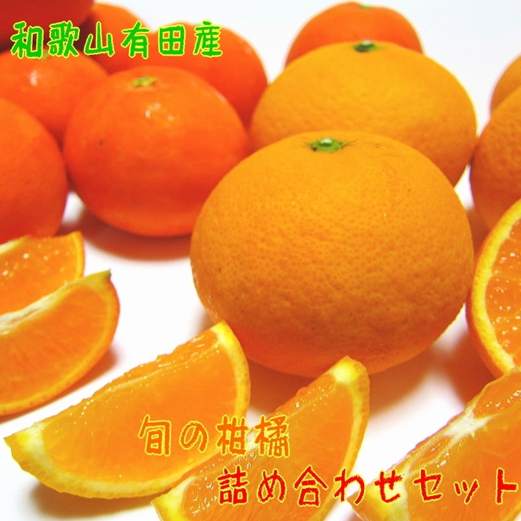 【先行予約】旬の柑橘詰め合わせセット(ご家庭用)約8kg | フルーツ ふるーつ 果物 くだもの 詰め合わせ オレンジ みかん レモン 国産 産地直送 美浜町 ※2026年1月中旬〜4月下旬頃に順次