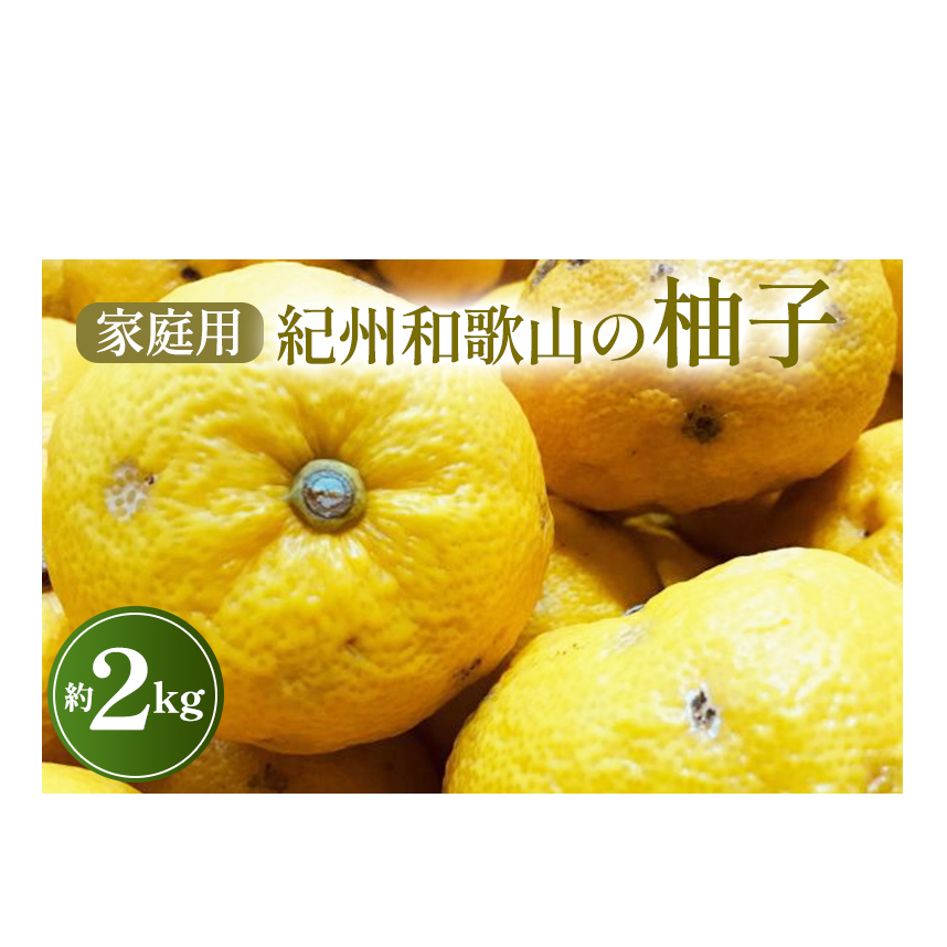 【先行予約】【農家直送】【国産】紀州和歌山の柚子(ご家庭用) 2kg ※2024年10月下旬〜2025年1月下旬頃に順次発送予定 ※沖縄・離島への配送不可和歌山県美浜町7000果物・フルーツみかん・