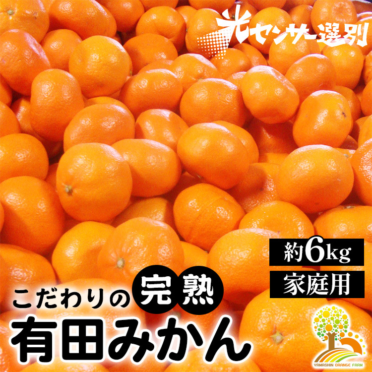 \光センサー選別/こだわりの有田みかん 約6kg 【ご家庭用】 有機質肥料100% ※2024年11月中旬頃〜2025年1月頃に順次発送予定 ※沖縄・離島への配送不可和歌山県美浜町8000果物・フルーツみか