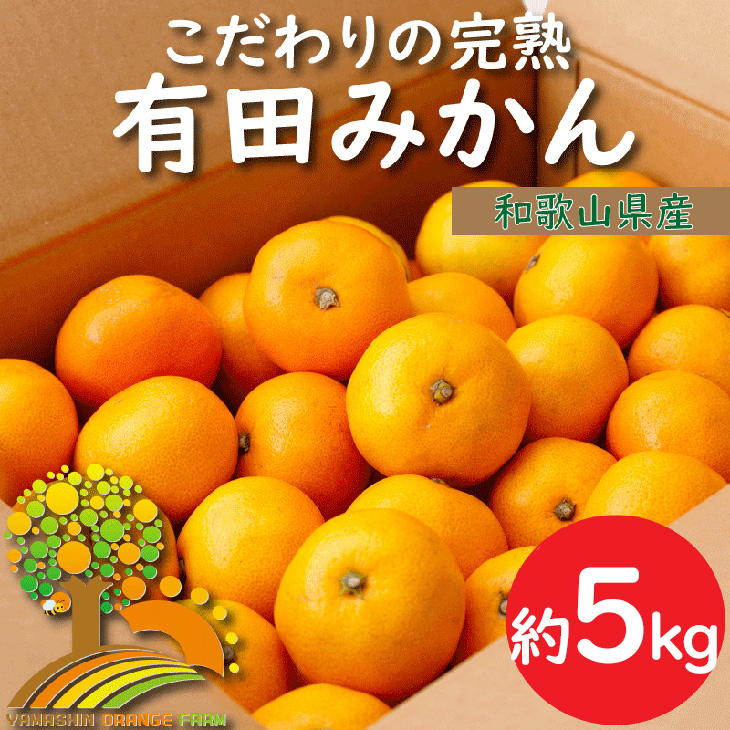 \農家直送/こだわりの完熟有田みかん 約5kg 有機質肥料100%※2024年11月中旬〜2025年1月上旬頃に順次発送予定※沖縄・離島への配送不可和歌山県美浜町10000果物・フルーツみかん・柑橘類