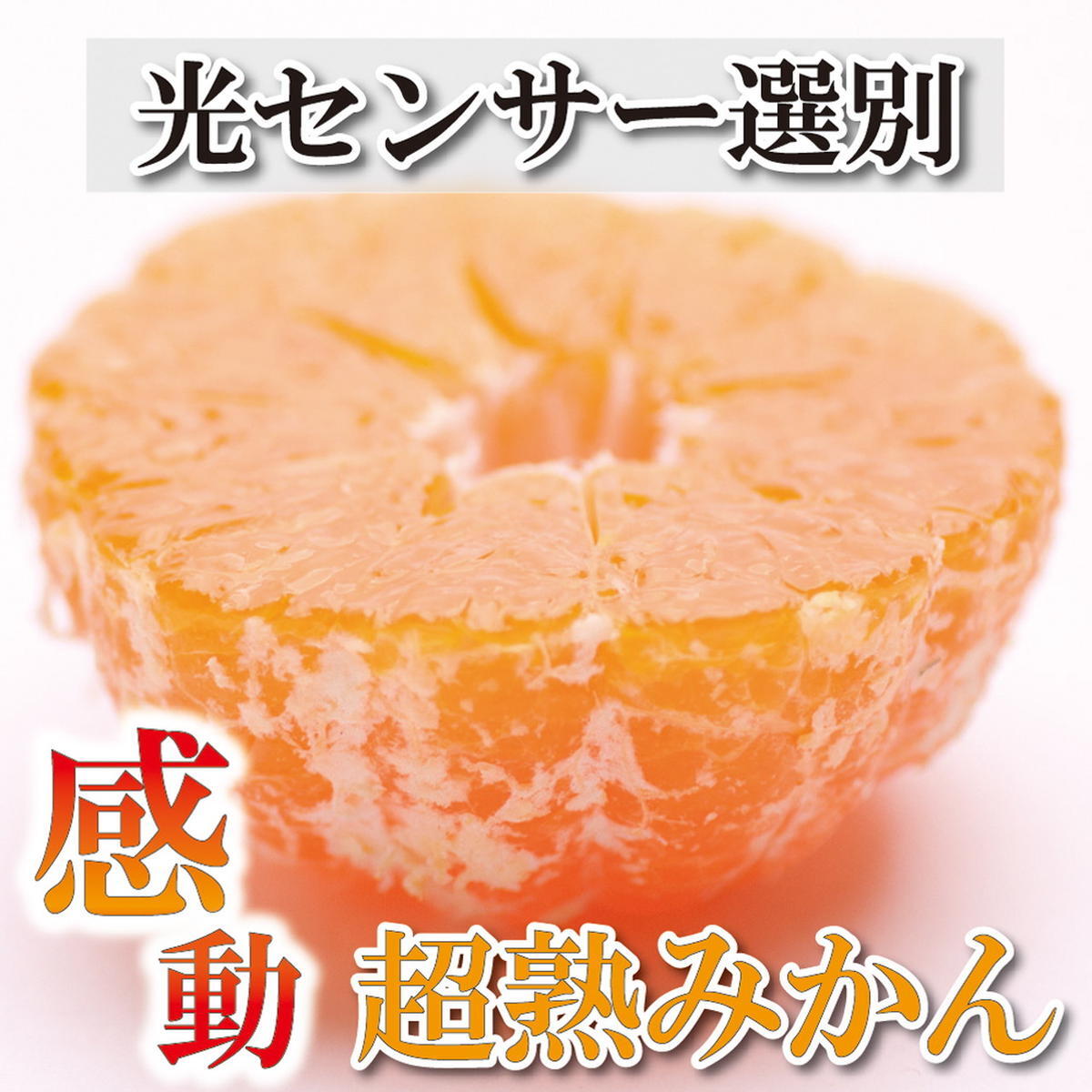 <2024年11月より発送>家庭用 超熟有田みかん5kg+150g(傷み補償分)【わけあり・訳あり】【光センサー選果】◇ ※北海道・沖縄・離島への配送不可 ※2024年11月上旬〜12月下旬頃に順次発送