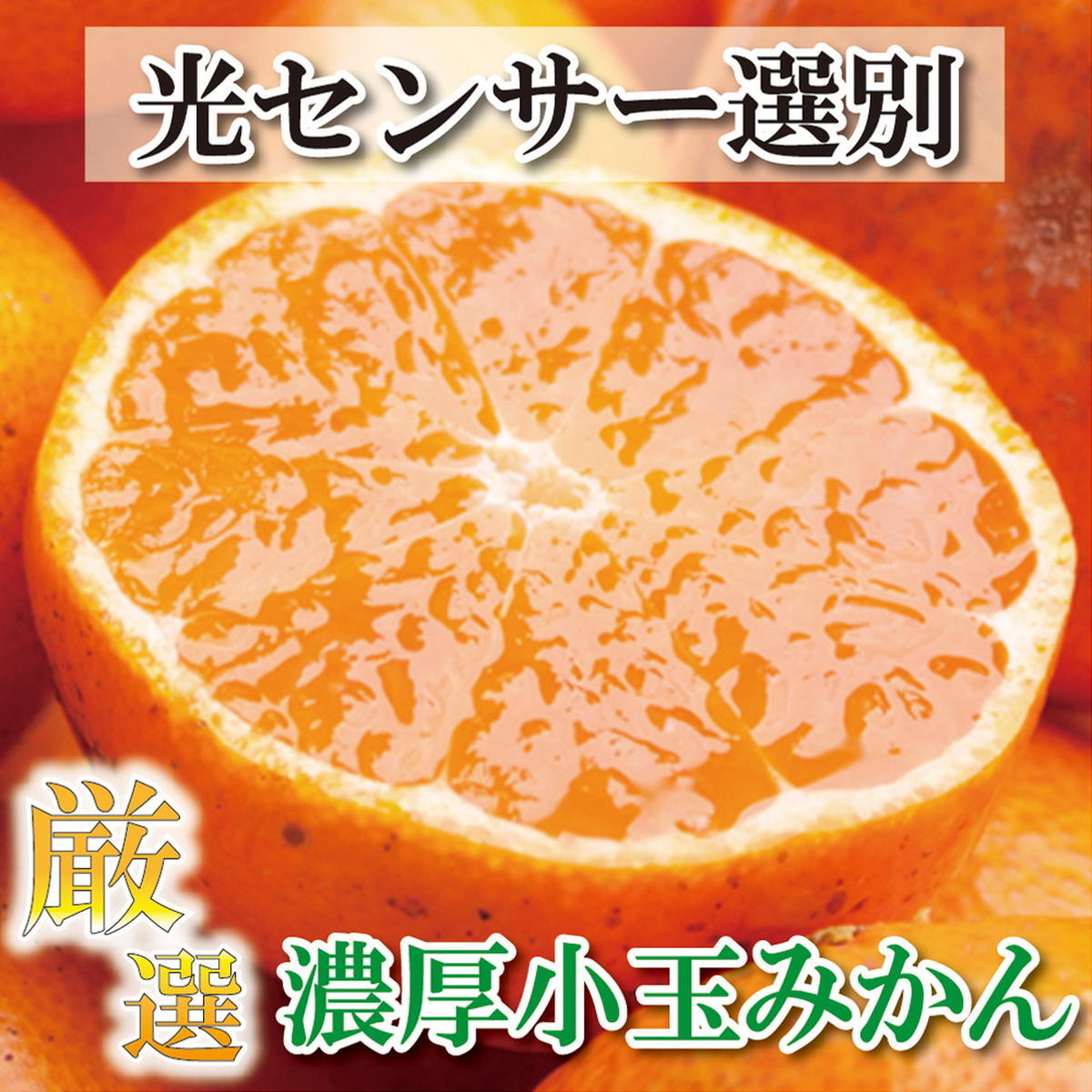 <11月より発送>厳選 小玉な有田みかん7.5kg+225g(傷み補償分)【光センサー選果】※北海道・沖縄・離島への配送不可 ※2024年11月中旬〜12月下旬頃に順次発送予定和歌山県美浜町13000果物