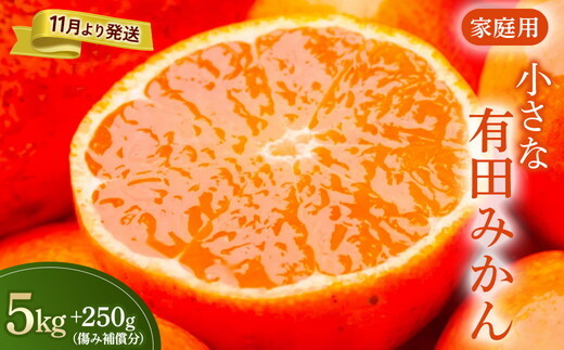 家庭用 小玉な有田みかん5kg+250g(傷み補償分)【わけあり・訳あり】【光センサー選果】 ※北海道・沖縄・離島への配送不可 ※2025年11月上旬〜2026年1月下旬頃に順次発送予定和歌山県美浜