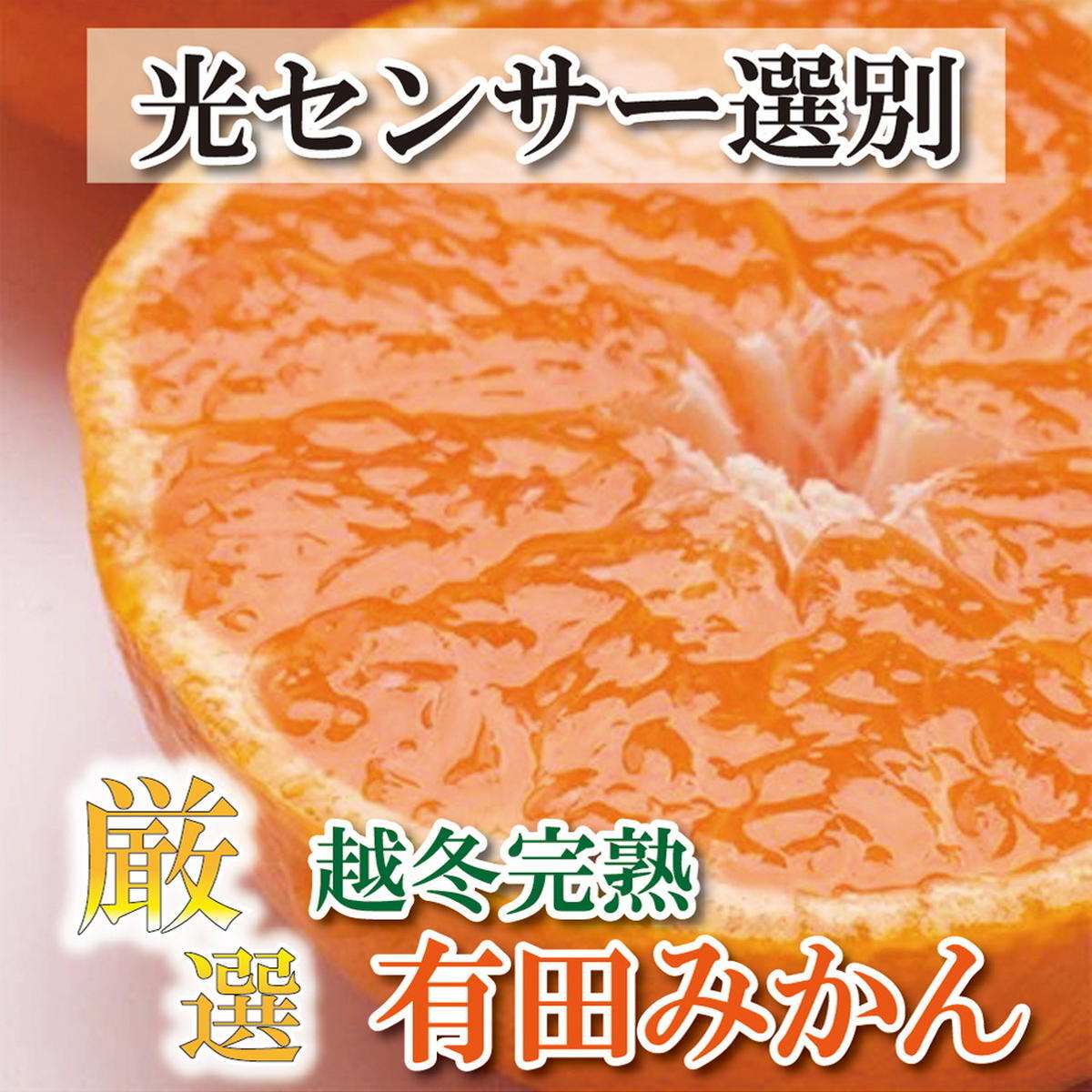 <2025年1月より発送>厳選 越冬完熟みかん2.5kg+75g(傷み補償分)【ハウスみかん】【光センサー選果】 ※北海道・沖縄・離島への配送不可 ※2025年1月中旬〜2月下旬頃に順次発送予定和歌山
