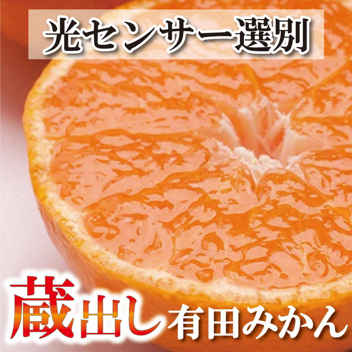〈2026年1月より発送〉家庭用 蔵出しみかん 5kg+250g(傷み補償分)【有田の蔵出しみかん】【光センサー選果】◇※北海道・沖縄・離島への配送不可 ※2026年1月中旬〜2月下旬頃に順次発送予